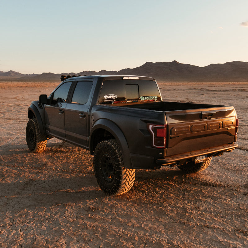 2017-2020 FORD RAPTOR BEDSIDES-LTW Motorsports