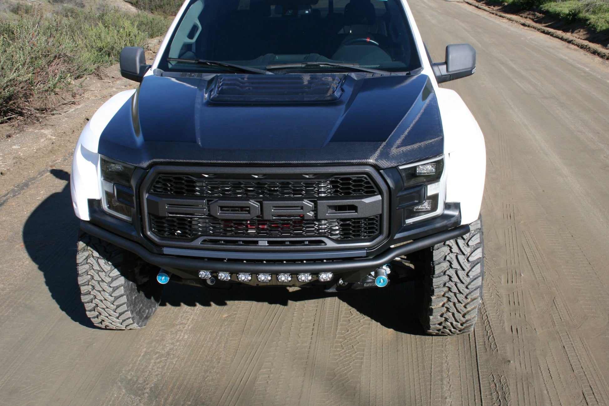 2017-2020 Ford Raptor OEM Style Hood-LTW Motorsports