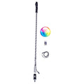 Remote LED Whip (WHIP ONLY)-LTW Motorsports