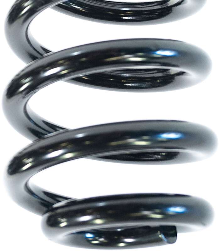 Coilover Springs - Camburg 05-24 Ford F-250/350 4WD 2.5in. Performance Coil Springs (pair) (gas)