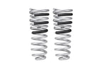 Eibach 14-21 Ram 2500 Diesel 4WD Pro-Truck Rear Springs-LTW Motorsports
