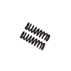 Coil Spring Set Toyota Tacoma 05-23 650 lb, 6112/8112 B12 (Special) Bilstein