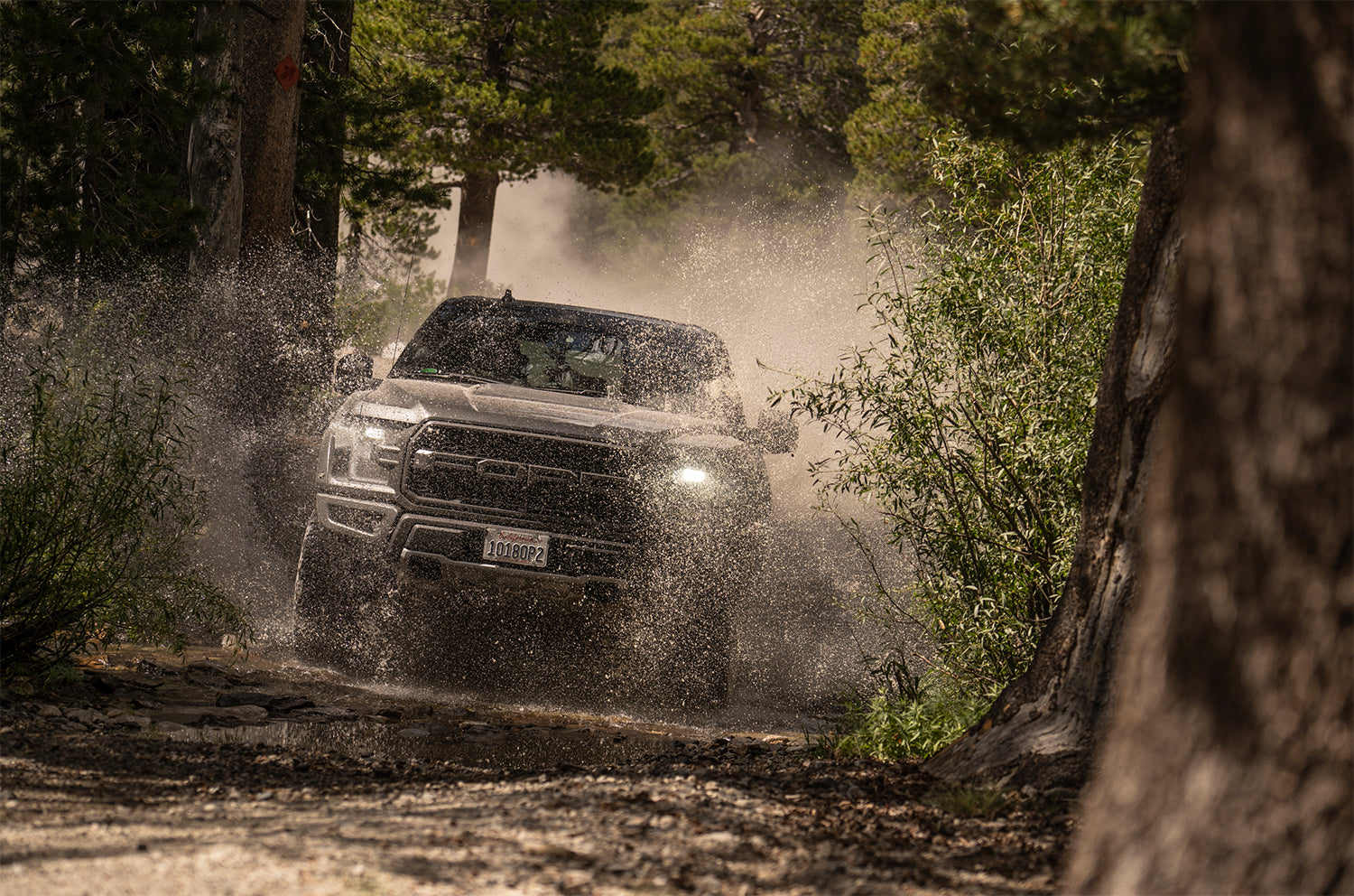 19-On Ford Raptor Rear Live Valve Internal Bypass 3.0 Series Piggy-Back External Cooler 12.3 Inch 0-1 Inch Lift Kit Fox Shocks