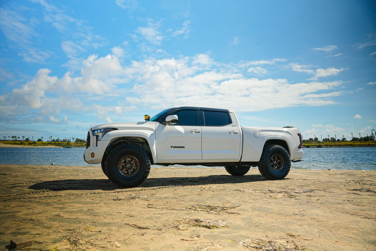 2022-2023 Toyota Tundra Bedsides-LTW Motorsports