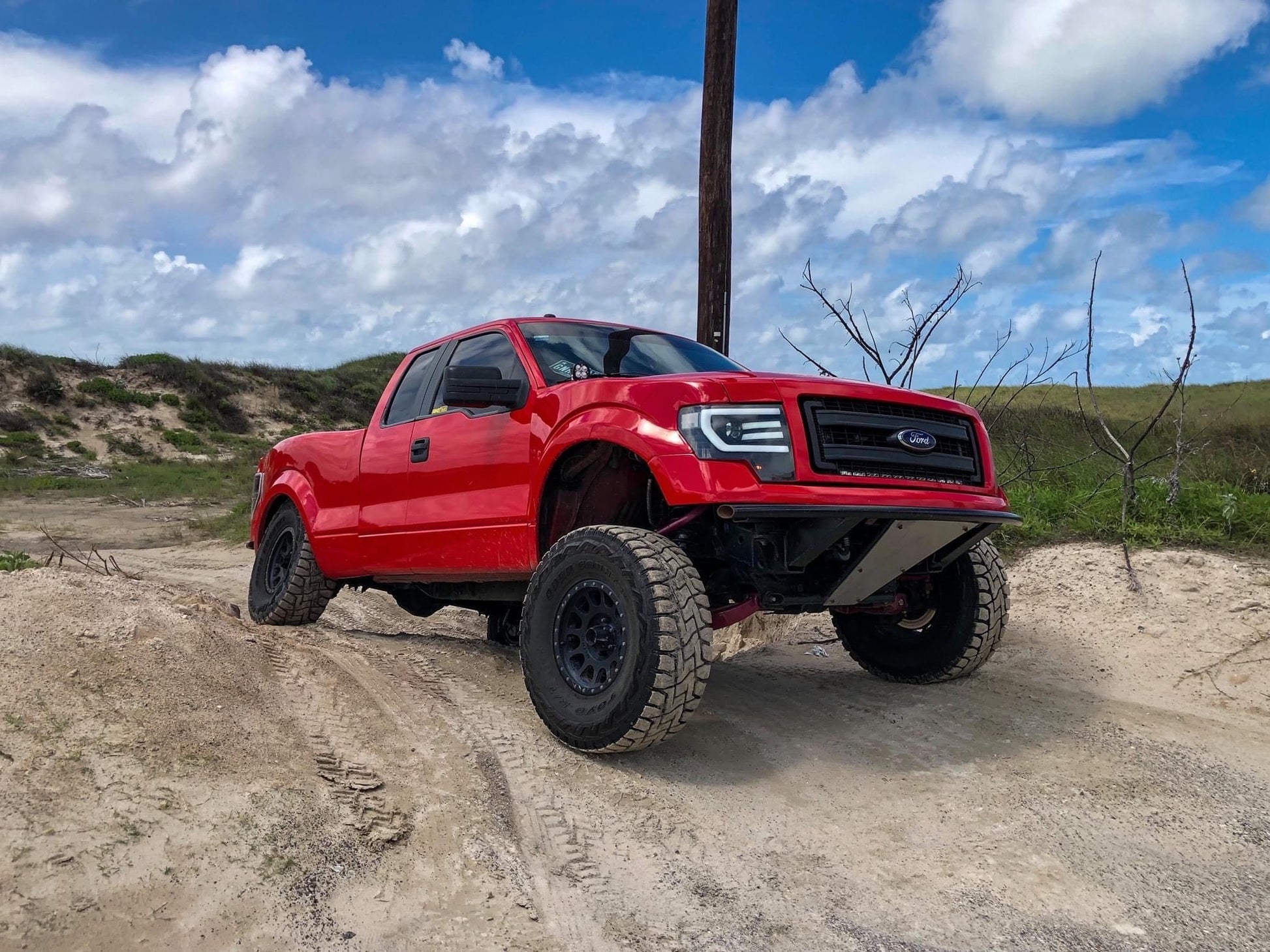 2009-2014 Ford F-150 Bedsides - TT Style-LTW Motorsports