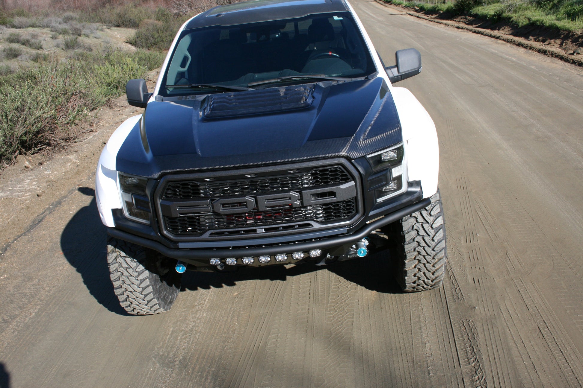 2017-2020 Ford Raptor OEM Style Hood-LTW Motorsports