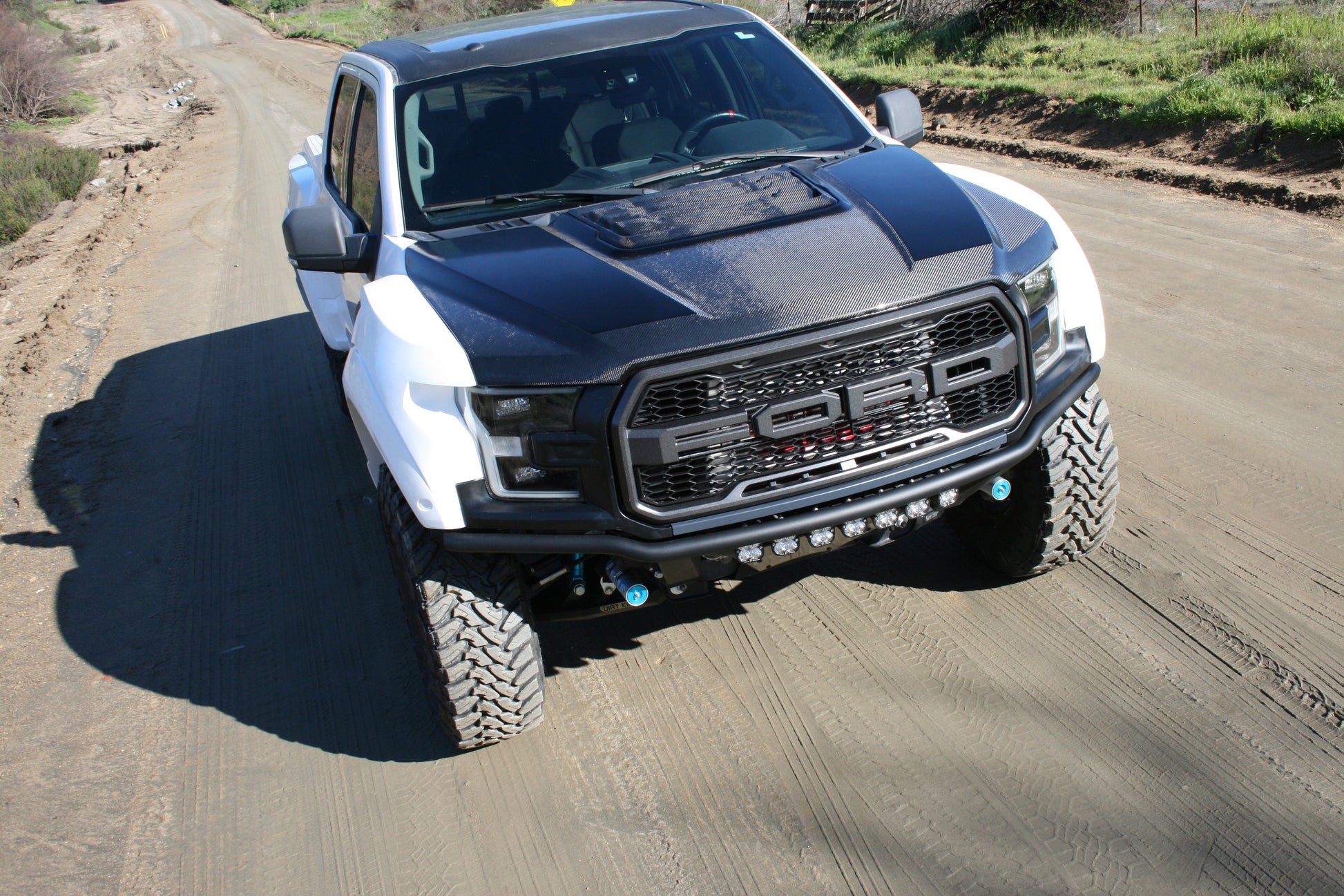 2017-2020 Ford Raptor OEM Style Hood-LTW Motorsports