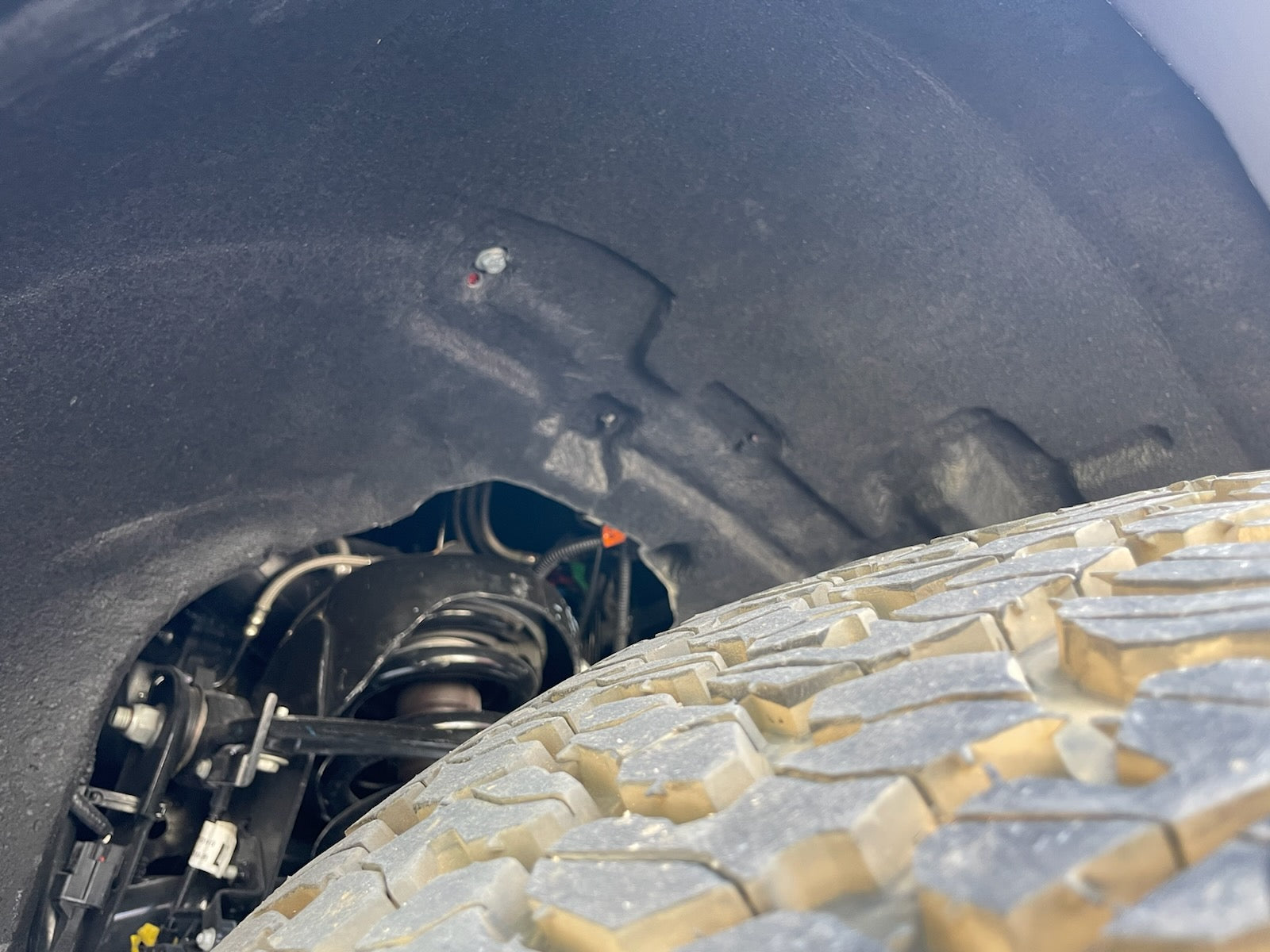 2021-2022 Ford Raptor Fenders-LTW Motorsports