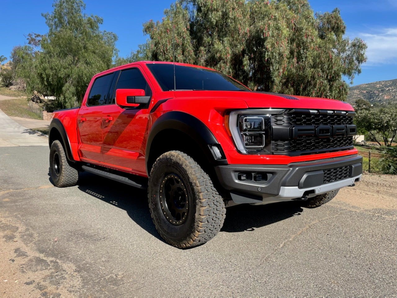 2021-2022 Ford Raptor Bedsides-LTW Motorsports