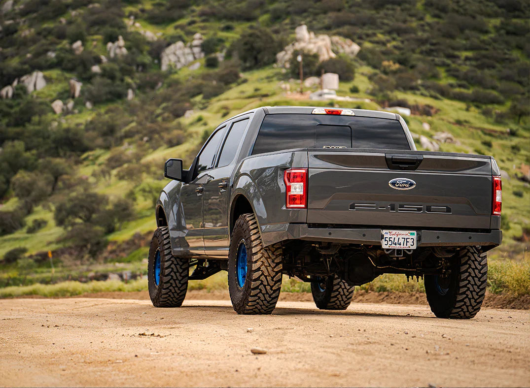 2018-2020 Ford F-150 Fenders-LTW Motorsports