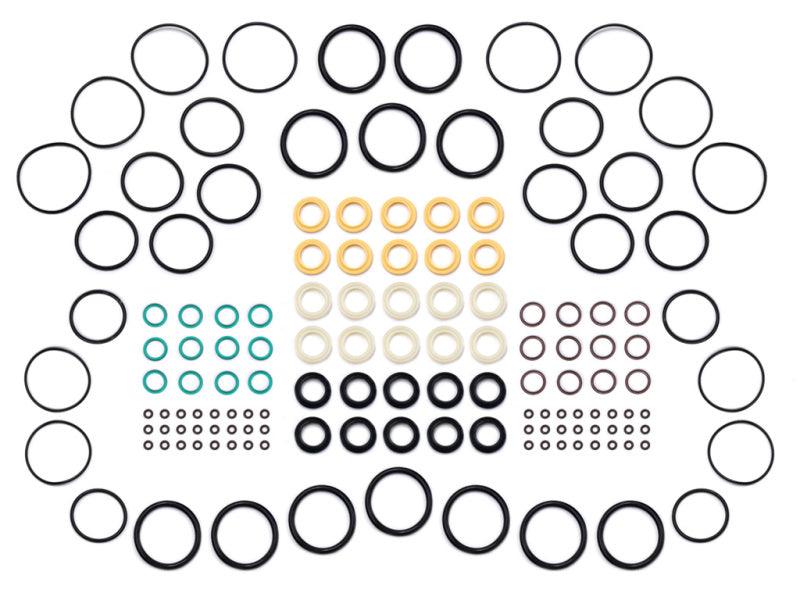ICON 2.0/2.5/3.0 Master Rebuild Kit-LTW Motorsports