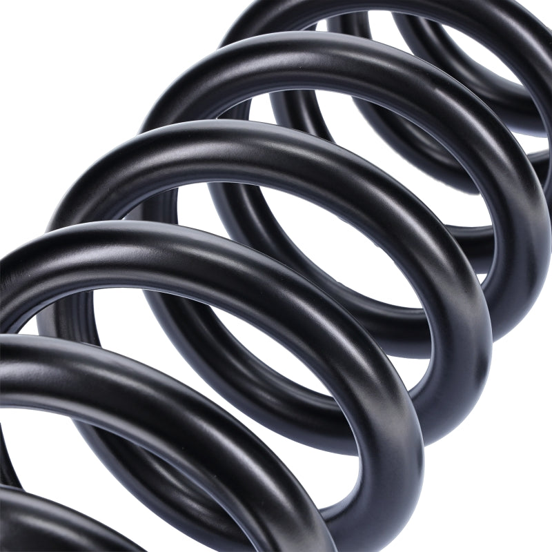 Camburg 05-24 Ford F-250/350 4wd 2.5in. Performance Coil Springs (pair) (diesel)-LTW Motorsports