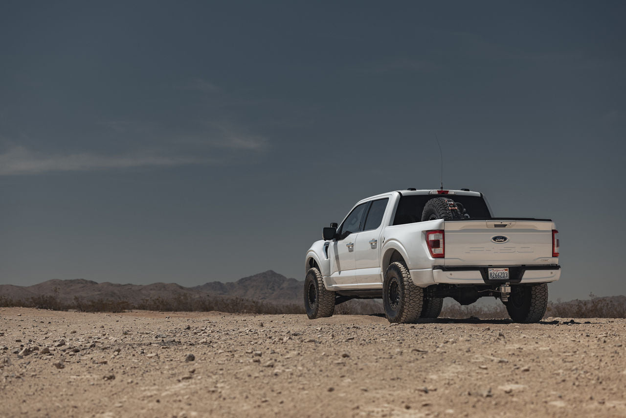 2021-2023 Ford F-150 Bedsides-LTW Motorsports