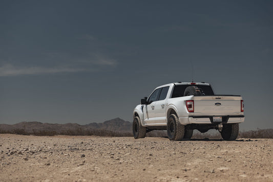 2021-2023 Ford F-150 Bedsides-LTW Motorsports