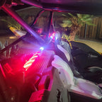 Interior Whip-LTW Motorsports